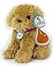 Adopt-A-Pet Puppy. 18 Inch Doll Pets, Golden Puppy with ASPCA Adoption Vest a Perfect Companion for your 18 Inch American Girl Dolls & More! ASPCA Adoption Vest on Golden Dog