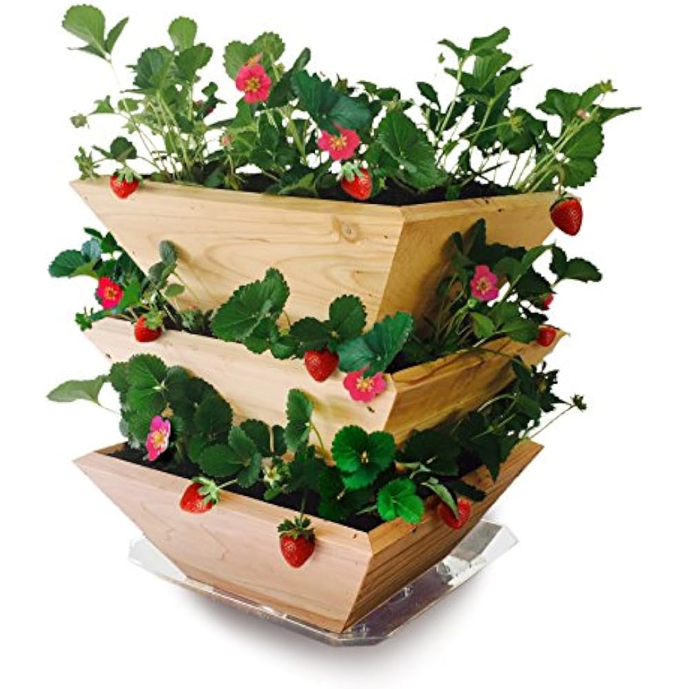 Architec Homegrown Gourmet Strawberry Patch Tower Cedar