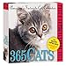 365 Cats 2013 Page-A-Day Calendar by 