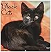 Black Cats 2017 Wall Calendar