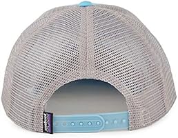 patagonia fitz roy horizons trucker cap