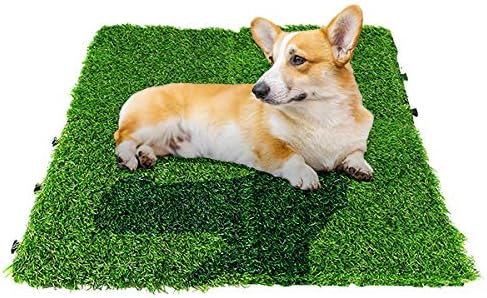 dog fake grass balcony