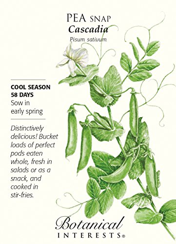 Cascadia Snap Pea Seeds - 25 grams - Botanical Interests Cascadia Snap Pea Seeds - 25 grams - Botanical Interests