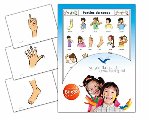 Body Parts Flashcards in French Language - Flash Cards with Matching Bingo Game for Toddlers, Kids, Children and Adults - Size 4.13  5.83 in - DIN A6