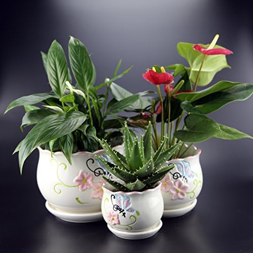 3 Pack Ceramic Flower Plant Pot, Size 4โโ, 6โโ and 7โโ (Butterfly Flower)