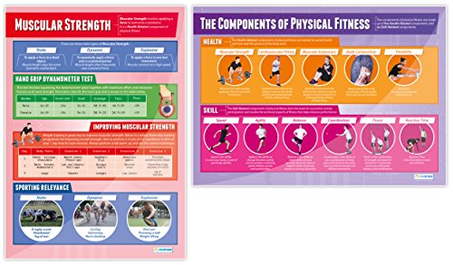 Components of Physical Fitness - Set of 12 PE Posters | Classroom Posters for PE | Gloss Paper measuring 33" x 23.5" | Phys Ed School Posters | Physical Education Gym Charts, by Daydream Education - Thumbnail 6