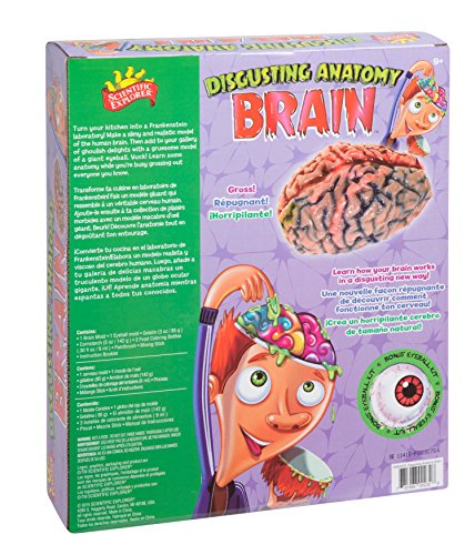 Scientific Explorer Disgusting Anatomy Brain