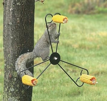 Erva Squirrel Spinner Corn Cob Feeder Amazon In Garden Outdoors