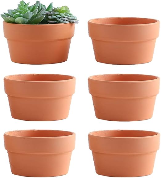Yishang 6 Inch Terracotta Shallow Planters,Ceramic Flower