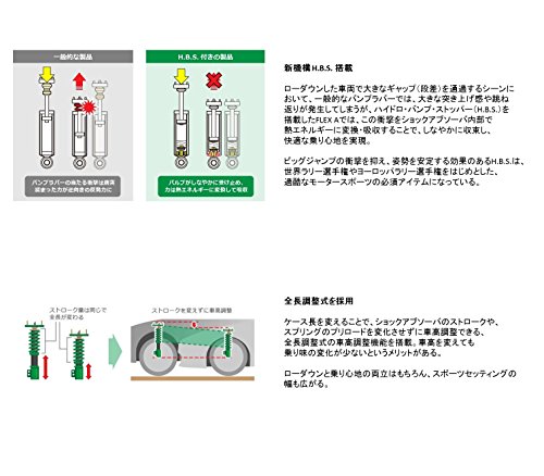 1 Tein+VSSB0+D1SS4+Flex+Suspension+Subaru