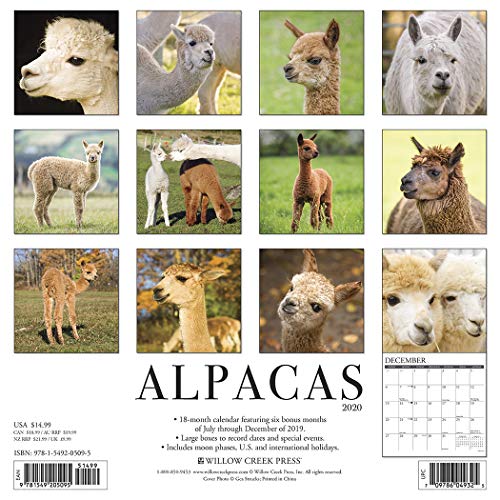 Alpacas 2020 Wall Calendar