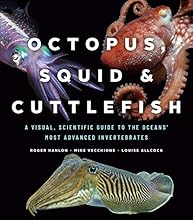 Octopus, Squid, and Cuttlefish: A Visual, Scientific Guide to the Oceans’ Most Advanced Invertebrates