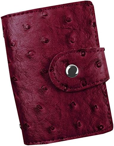 人気ブランドの新発売 名刺ケース 大容量 名刺入れ 正規品送料無料 ベビー マタニティ 100 品質保証 家電 カメラ ポイントカード カードケース オーストリッチ じゃばらより人気 オーストリッチ 型押し 26ポケット収納 52枚入れ可能 かわいい カード入れ 激安超