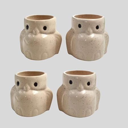 The Garden Depot Ceramic Owl Planter Mini (4)