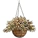 National Tree Company Pre-Lit Artificial Christmas Hanging Basket, Glittery Bristle Pine, Decorated With Frosted Pine Cones, White LED Lights, Christmas Collection, 20 Inches