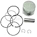 EZGO (1991+) Golf Cart | 295Cc | Ring & Piston Set