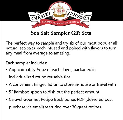 The Smoked Sea Salt Sampler - Perfect as a Gift Set - Reusable Tins & Bamboo Spoon - Alderwood, Cherrywood, Bacon, Bacon Chipotle, Garlic Onion, Garlic Salts - 1/2 oz. each, 3 total oz.