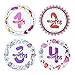 Milestone Monthly Baby Girl Stickers Great Shower Keepsake Gift Pack of 16 Belly Stickers to Track your Baby’s First Year of Growth