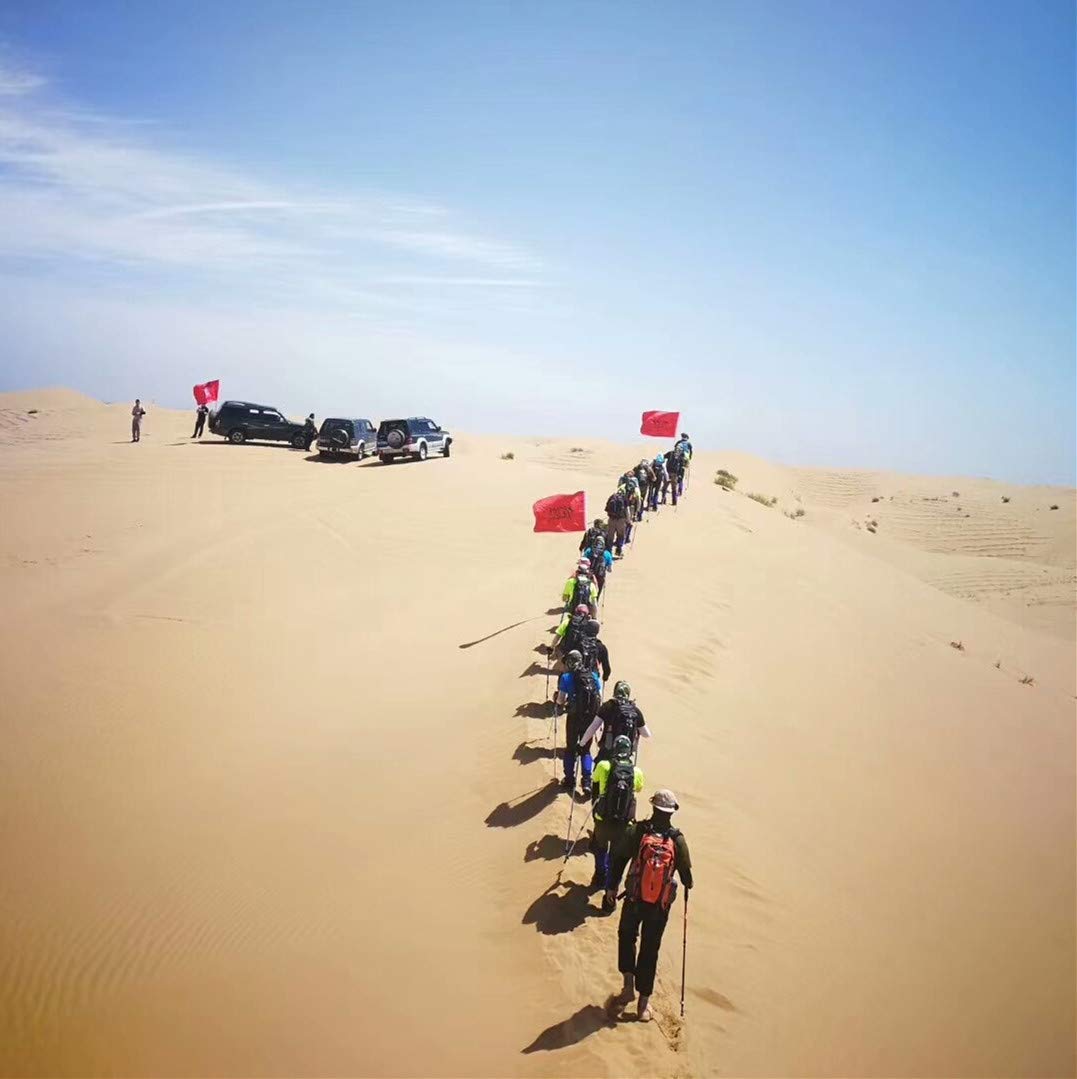 GOTOONE Walking Sticks Hiking Trekking Poles Telescoping Collapsible Folding Lightweight Ultra Strong Anti Shock for Women Men with Reflective Wrist Straps Black 2 Pack