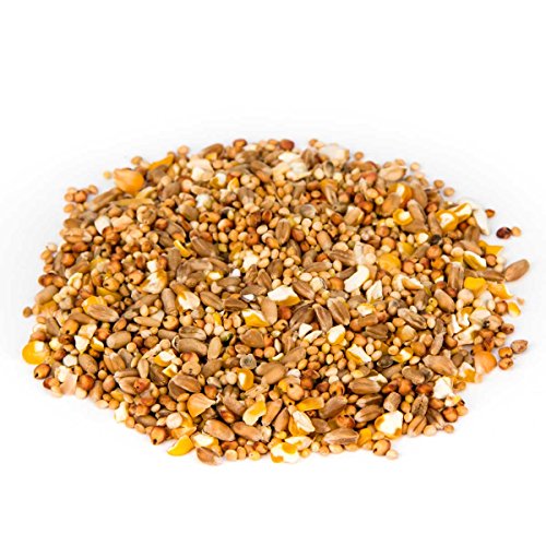 Leimüller Entenfutter Körner Premiumqualität 25 kg - Vogelfutter für Ente, Gänse, Laufente - Gänsefutter 100% gentechnikfrei - Entenstarter & Kükenfutter – Bild 4