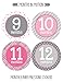 Months in Motion Baby Monthly Stickers - Baby Milestone Stickers - Newborn Girl Stickers - Month Stickers for Baby Girl - Baby Girl Stickers - Newborn Monthly Milestone Stickers (Set of 12 Stickers)