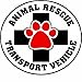 Imagine This 4-3/4-Inch by 4-3/4-Inch Car Magnet Social Issues Circle, Animal Rescue Transport Vehicle