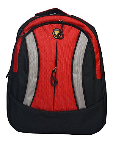 amazon online college bags