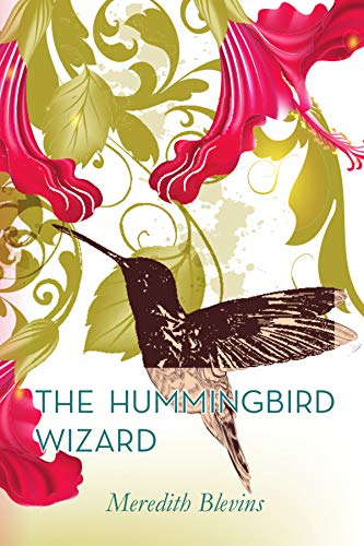 The Hummingbird Wizard (The Mystic Cafe Trilogy Book 1)