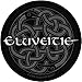 Eluveitie Celtic Knot Band Logo Patch Folk Metal Music Woven Sew On Applique
