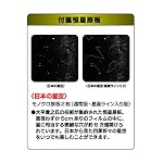 51%2BQvRXPf4L. SS150 Homestar-Classic