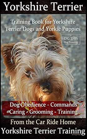 yorkie obedience training