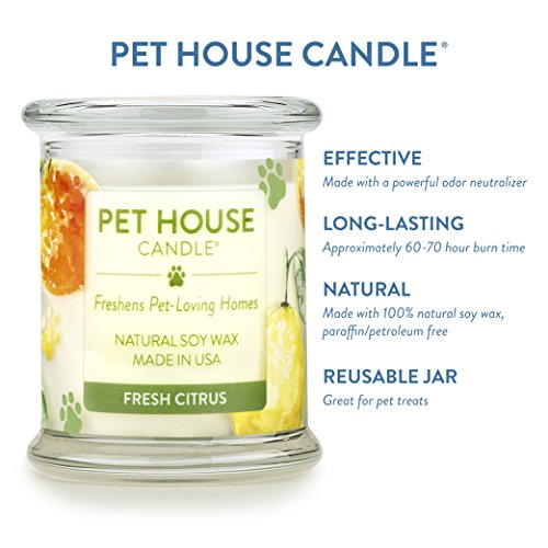Pet House Candle in 15 Fragrances - All Natural Soy Wax Candle and Pet Odor Eliminator - Eco-Friendly, Non-Toxic, Paraffin-Free - 60-70-Hour Burn Time - Fresh Citrus