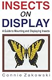 Insects on Display: A Guide to Mounting and Displaying Insects