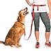 The Buddy System Accessories for Our Dog Leashes Made in USA (Extender, Regular Dog Red)