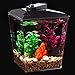 Koller Products 1-Gallon Betta Aquarium Kit, LED Light, Power Filter, and Betta Fish Tank, AP11104FFPthumb 4