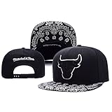 Hongxing-TY Unisex Adjustable Fashion Leisure Baseball Hat Chicago Bulls Snapback Dual Colour Cap