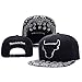 Hongxing-TY Unisex Adjustable Fashion Leisure Baseball Hat Chicago Bulls Snapback Dual Colour Cap, Black, One Size