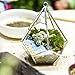 NCYP 5.3 inches Silver Handmade Wall Hanging Geometric Glass Terrarium Window Sill Balcony Succulent Planter Small Indoor Decoration Flower Pot Vase Centerpiece for Wedding Table (No Plants)