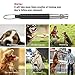 Dog Whistle, Professional Dog Training Whistle to Stop Barking, Adjustable Frequency Ultrasonic Sound Training Tool Dog Bark Control with Free Premium Quality Lanyard - Pack of 2 Black Pet Whistle