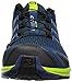 Salomon Men's XA Pro 3D Trail Running Shoes