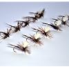 Adams-Dry-Fly-Fishing-Flies-and-Purple-Haze-Parachute-Assortment-Trout-Fishing-Flies-Fly-Box