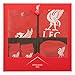 Liverpool FC Cute Baby 4 Piece Starter Set 3-6 months - Official Club Merchandise