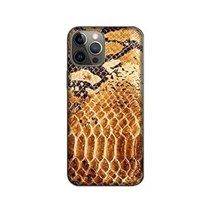 51%2BRuF5ZfML. SS300