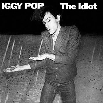 Image result for iggy pop the idiot