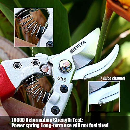 Professional Hand Pruning Shears Set, Bypass Gardening Shears with Stainless Steel / SK-5 High Carbon Steel, 1'' Cutting Capacity, Suitable for garden art, trimming branches, flowers, vines, etc - Thumbnail 2