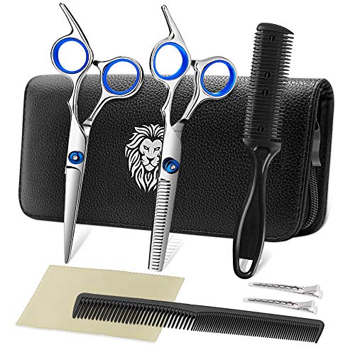 professional hair cutting scissors kit