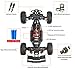 Tecesy RC Cars 1/12 Scale 4WD Off Road Remote Control Cars with LED Lights, 2.4GHz Radio Remote Control Truck Monster, High Speed Crawler RC Car for Adults & Kids（Green）
