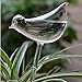 2pcs Bird Shape Hand Blown Clear Glass Self Watering Durable Mini Transparent Bird Shape Plant Watering-Siyaglass