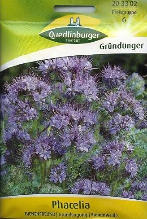 Phacelia, Bienenfreund