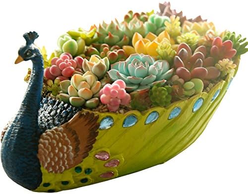 Worila Handmade Peacock Succulent Plant Pot Vintage Cactus Plant Pot/Flower Pot/Container/Planter